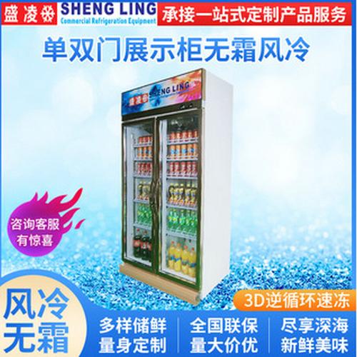 厂家立式展示现货双门冷冻柜单温冷藏风冷饮料柜保鲜柜商用冰柜